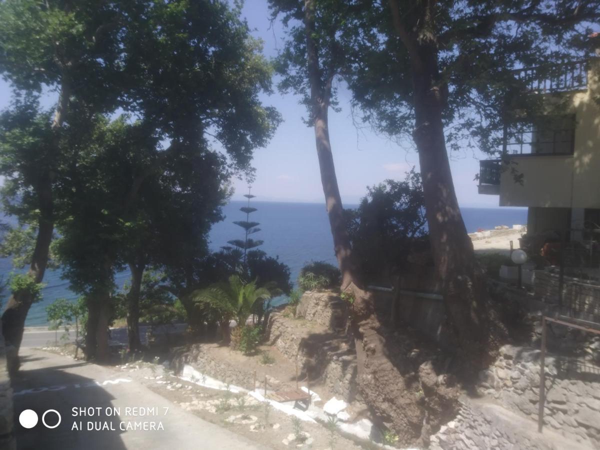 Villa Zisi Livadaki  Bagian luar foto