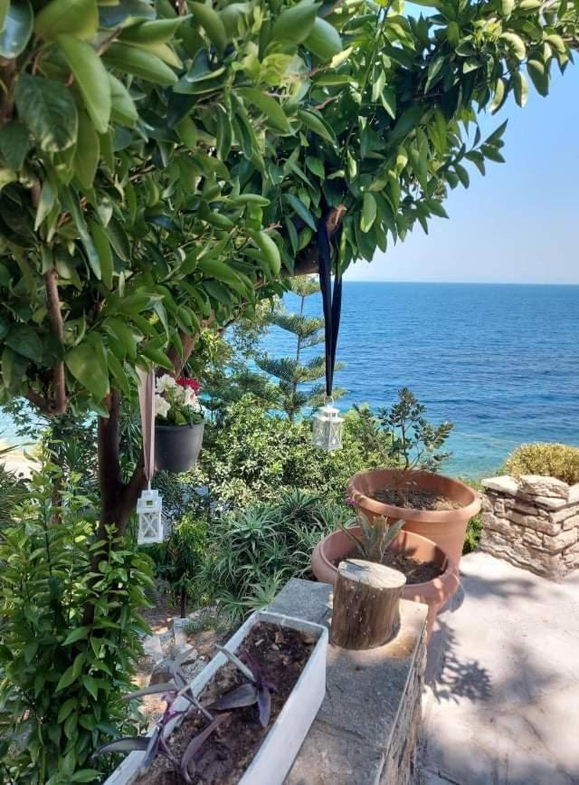 Villa Zisi Livadaki  Bagian luar foto